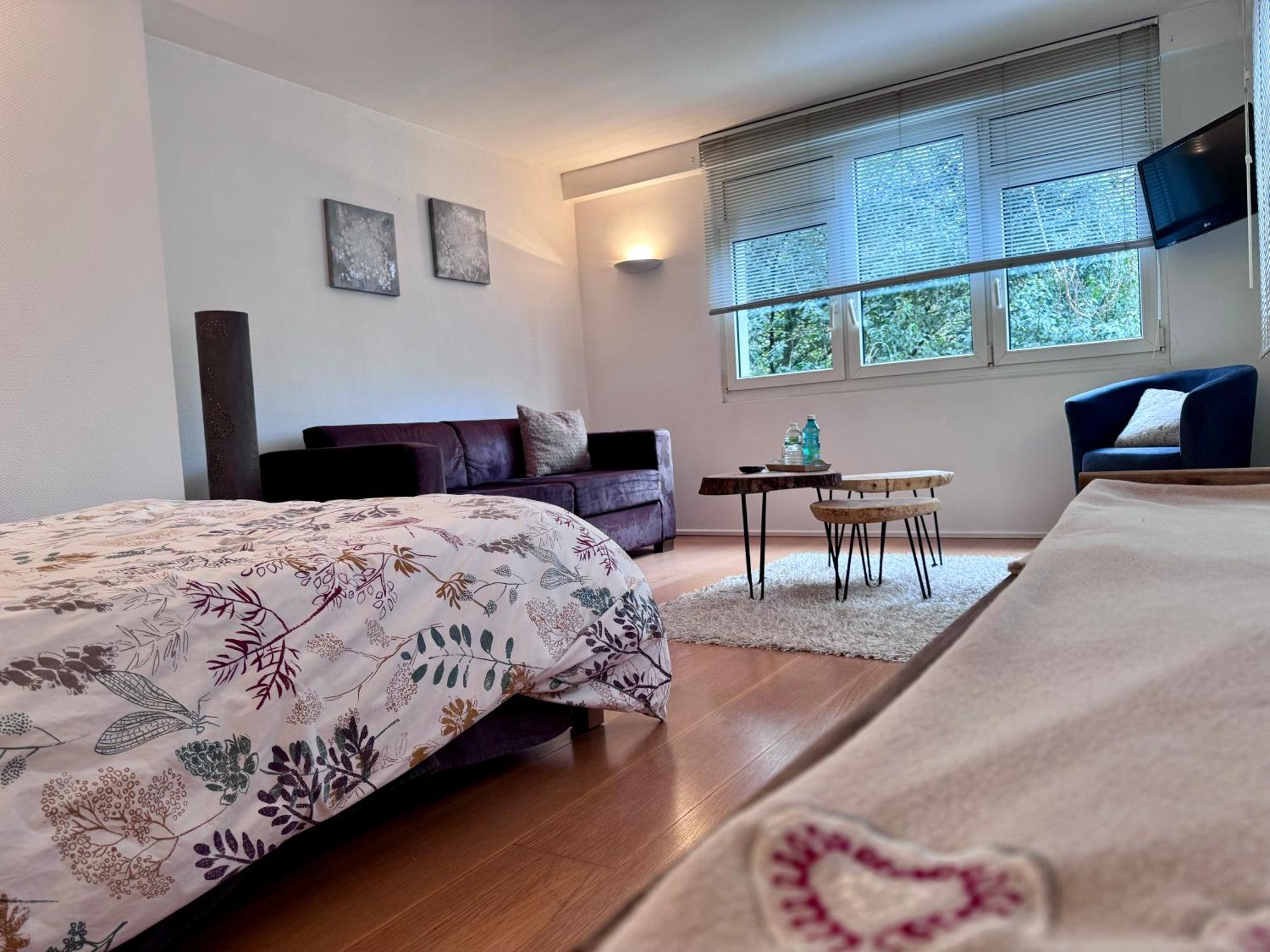 Petit-Réderching Villa Maria מראה חיצוני תמונה